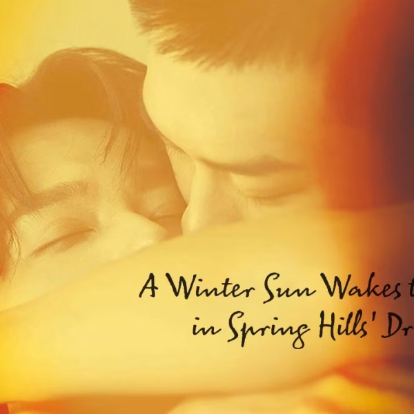 A Winter Sun Wakes the Wind in Spring Hills’ Dream (Extra Ep) (2026)