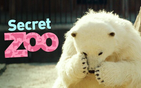 Secret Zoo (2020)